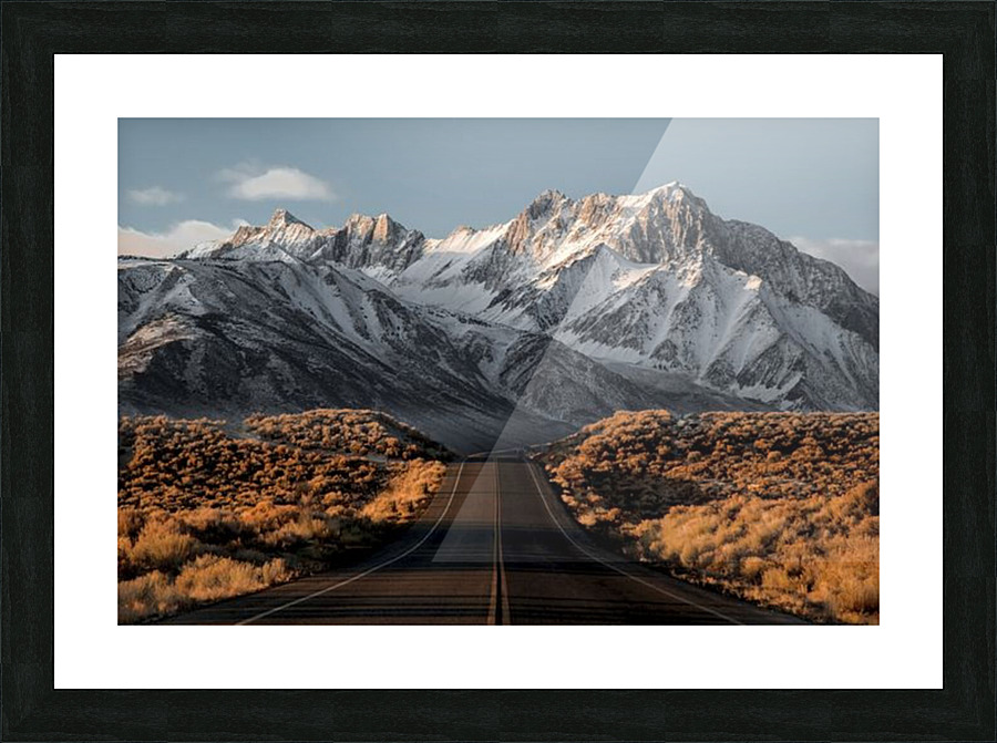  Fine Art print