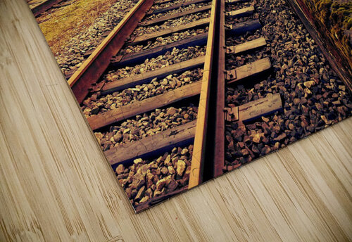 railway train road  Jon dev  puzzle