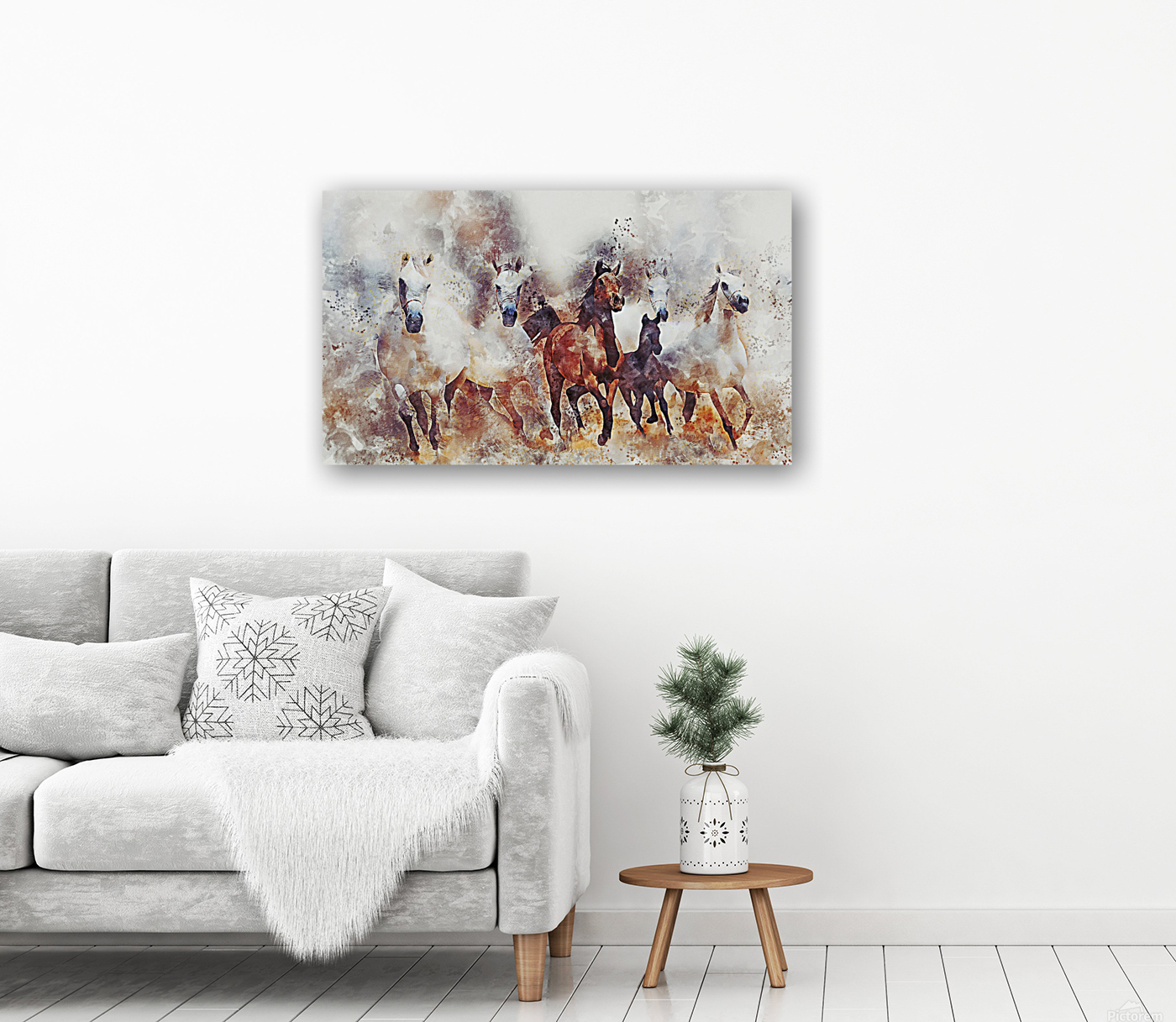 horses  Reproduction