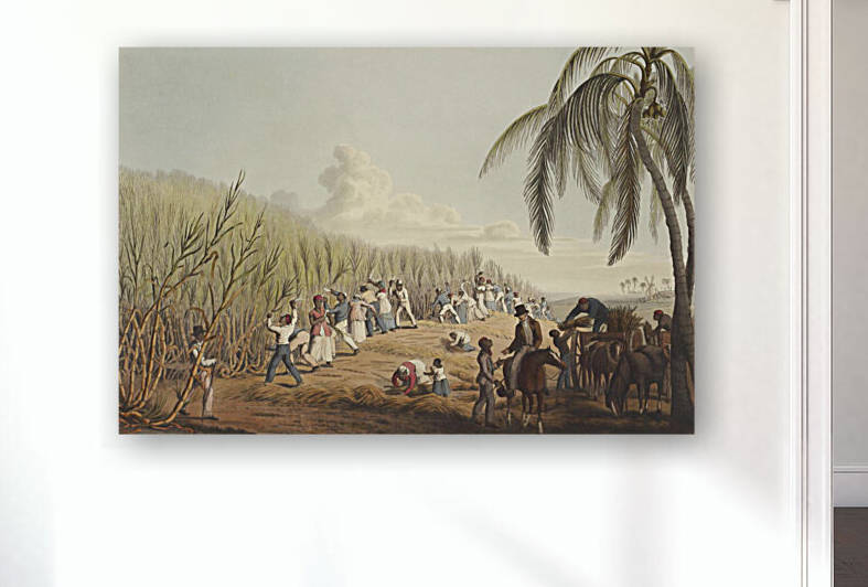 Sugar cane painting farmer people by Jon dev 