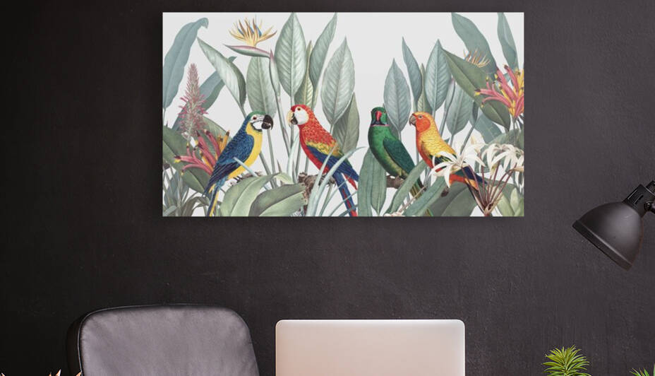 Birds desktop wallpaper colorful macaws tropical background by Jon dev 