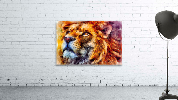 lion Wild Wall Preview