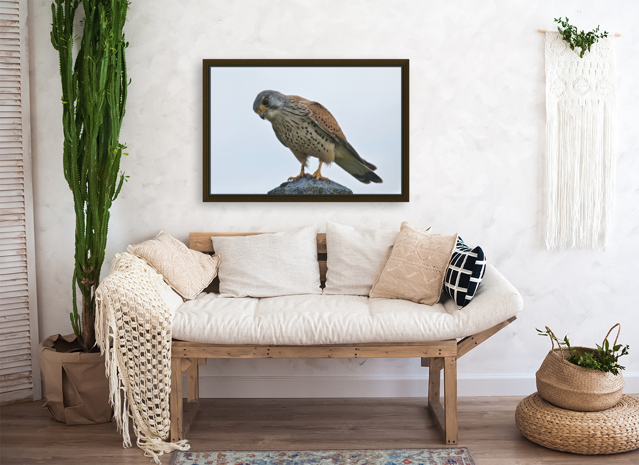 Kestrel Reproduction