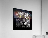 Black & White Beast Acrylic Print