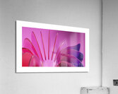 Glass Petals Acrylic Print