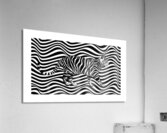 Cat in stripes Acrylic Print