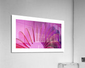 Glass Petals Acrylic Print