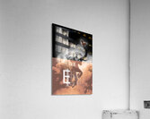 Flying elephant Acrylic Print