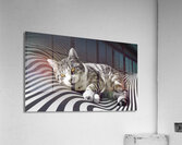 Cat in stripes Acrylic Print