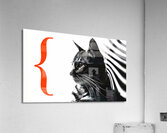 Cat in stripes Acrylic Print