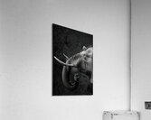 Elephant with two mice Acrylic Print