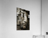 The Great Divide Acrylic Print