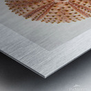 Sea urchin shell  Metal print