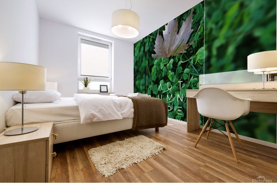 Plain tree leaf on clover meadow Mural print