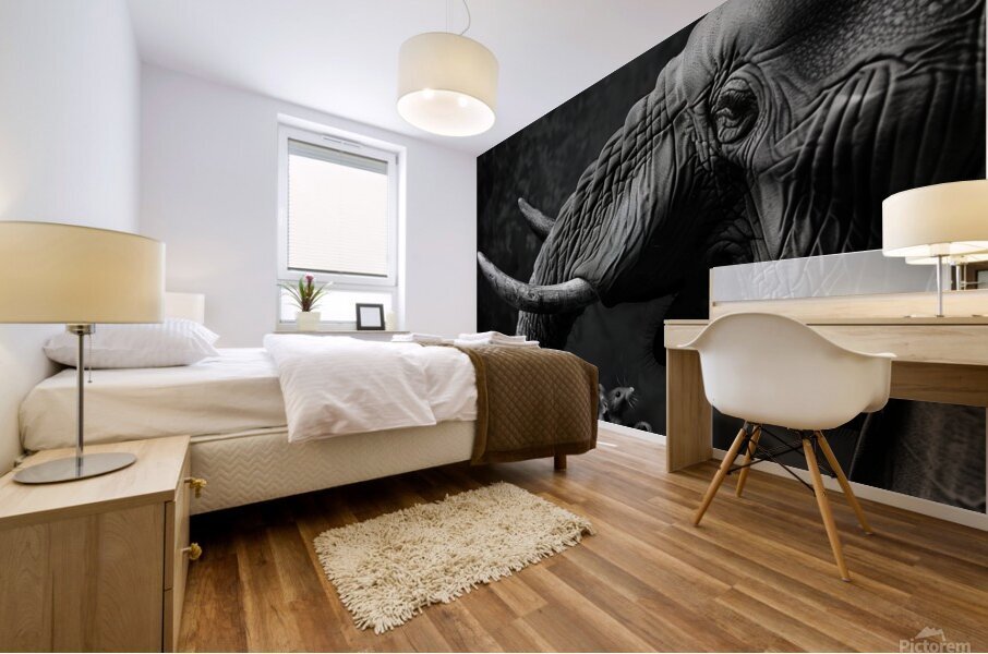 Elephant with two mice Mural print