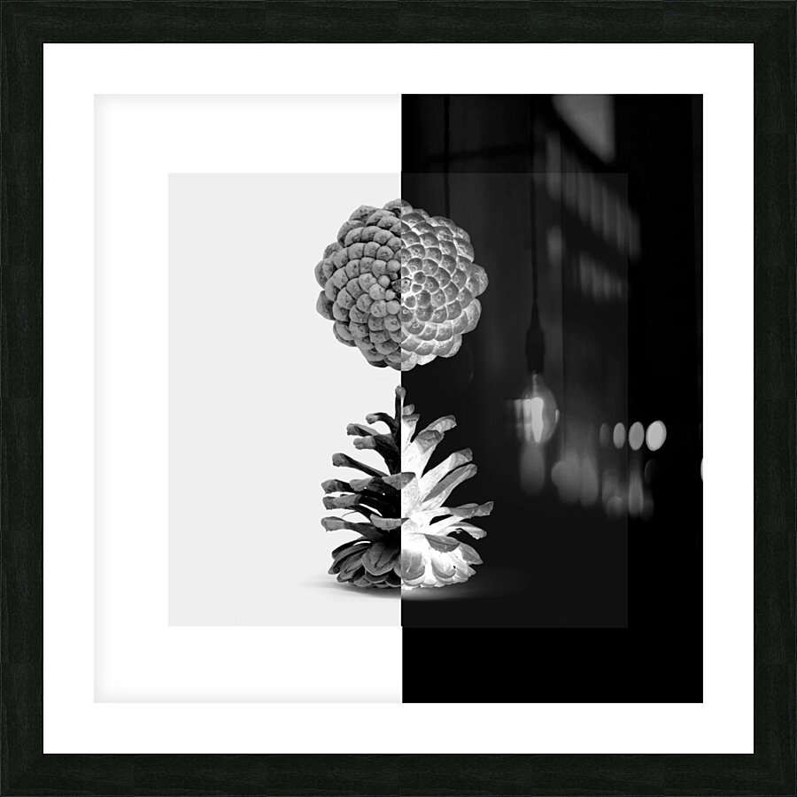 Cone Pine  Picture Frame print