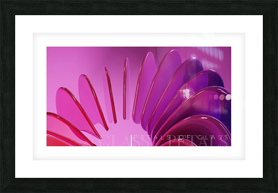 Glass Petals Picture Frame print