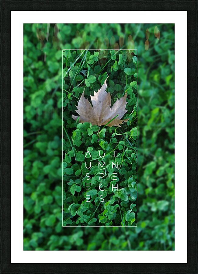 Plain tree leaf on clover meadow Picture Frame print
