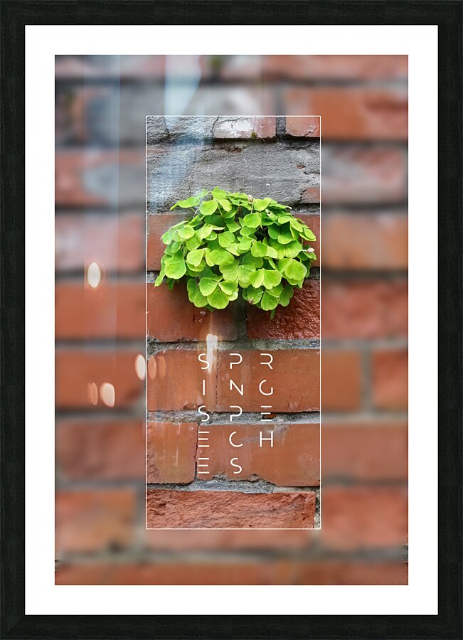 Spring Speeches Picture Frame print