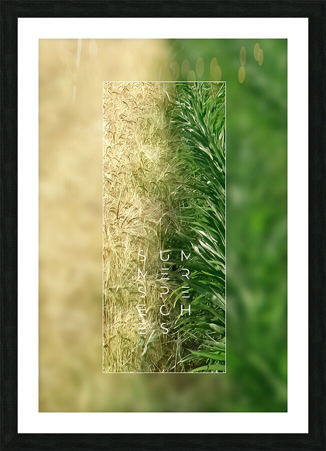 Plain tree leaf on clover meadow Picture Frame print