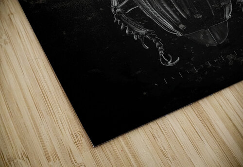 Alien bug iRT puzzle