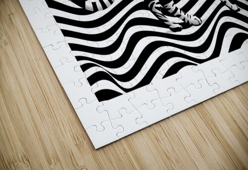 Cat in stripes iRT puzzle