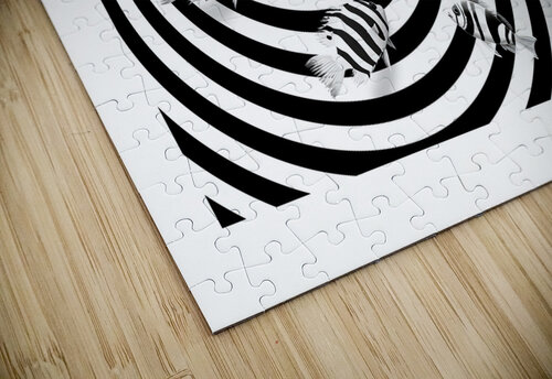 Fishes in stripes iRT puzzle