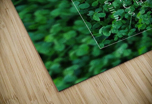 Plain tree leaf on clover meadow iRT puzzle
