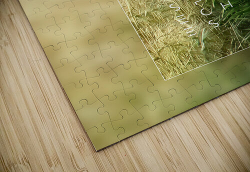 Plain tree leaf on clover meadow iRT puzzle