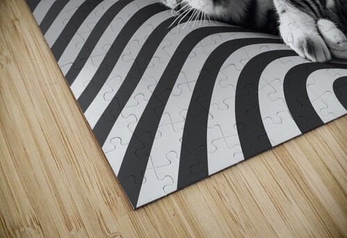 Cat in stripes iRT puzzle