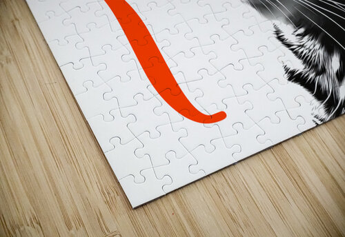 Cat in stripes iRT puzzle