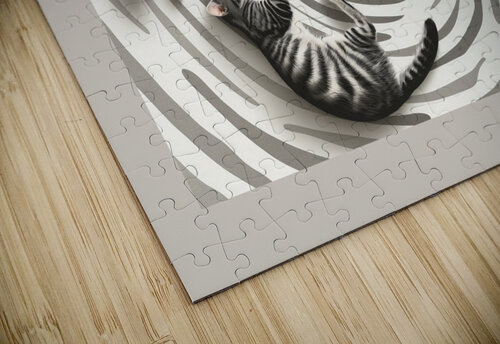 Cat in stripes iRT puzzle