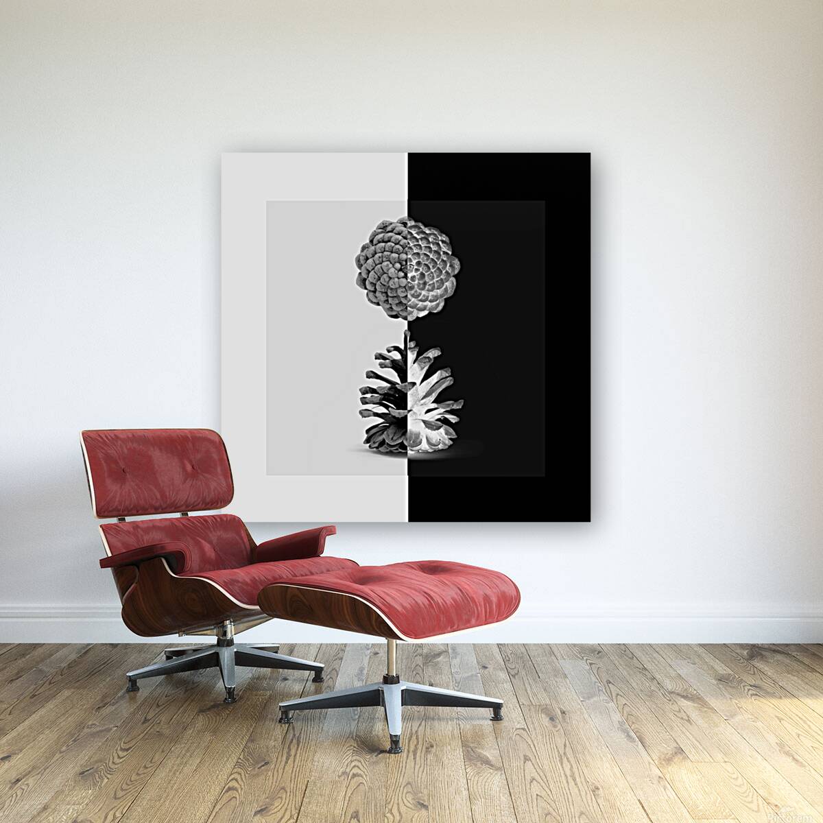 Cone Pine  Reproduction