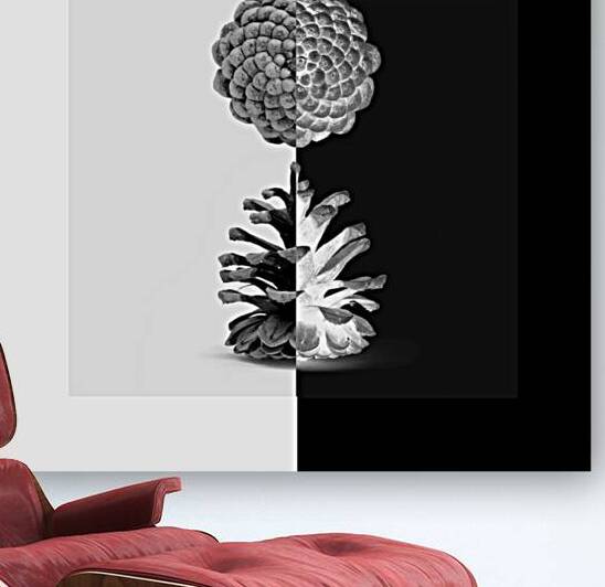 Cone Pine  by iRT