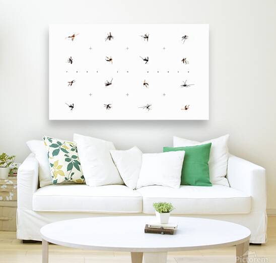 Rest In Peace - Dead mosquitoes on white background by iRT