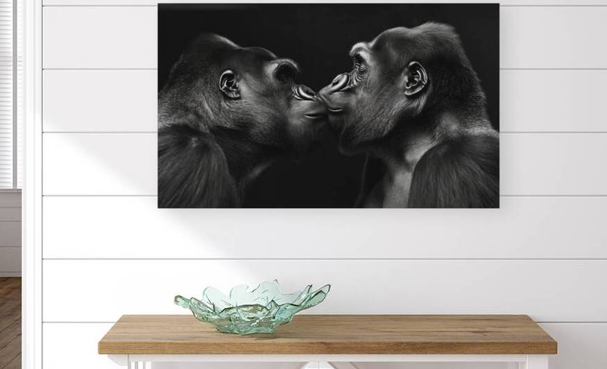 Two gorillas lovingly kissing by iRT