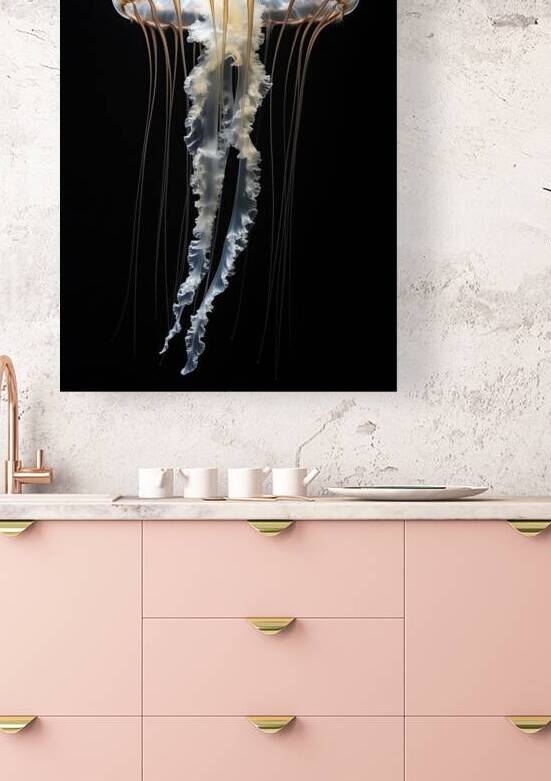 Jellyfish on black background by iRT