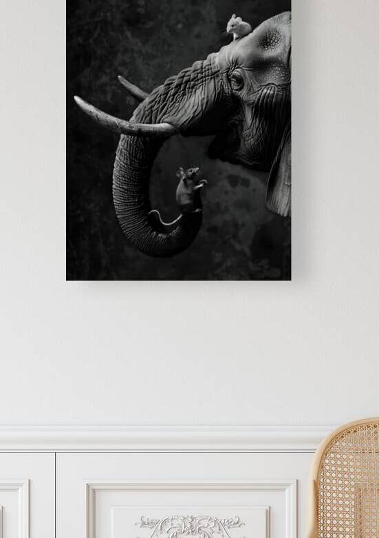 Elephant with two mice by iRT