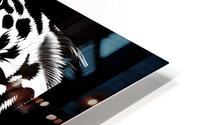 Black & White Beast HD Metal print