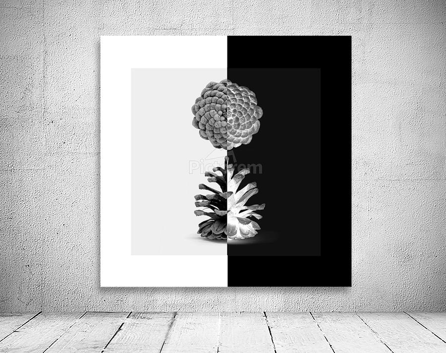 Cone Pine  Wall Preview