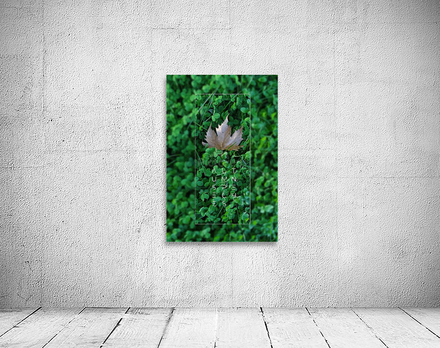 Plain tree leaf on clover meadow Wall Preview