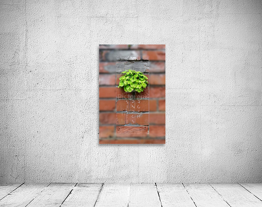Spring Speeches Wall Preview