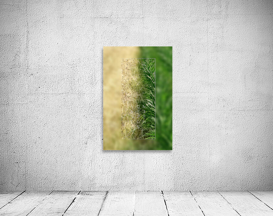 Plain tree leaf on clover meadow Wall Preview