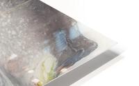 Spring Rain HD Metal print