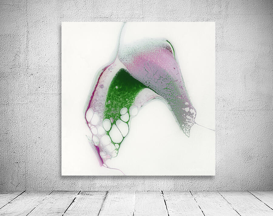 Newness Wall Preview