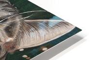 IMG 3891 HD Metal print