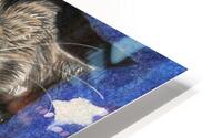 IMG 4420 HD Metal print