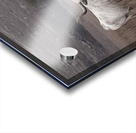 Longhorn Acrylic print