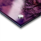 Purple Sky Acrylic print