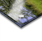 Big and Wide Acrylic print